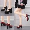 Mary Jane Shoes   2024 New Chunky Platform  Women High Heels Pumps Woman Round Toe Thick Heel Party Work Shoes