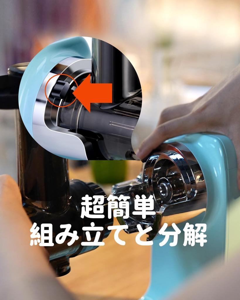 Hazel Quinn Slow Slow Cold Press Juicer Machine for Fresh Fruits and Juice Filter Free and Easy To High Juicing 2 Speed Reverse 80 RPM Quiet Vintage