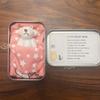 Plush Doll Personalized Gift Box Mini Stuffed Bear Set Soft Stress-Relief Companion for Teens Portable Cute Birthday Christmas Gift Comfort Security