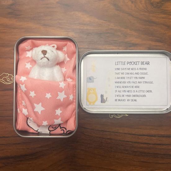 Plush Doll Personalized Gift Box Mini Stuffed Bear Set Soft Stress-Relief Companion for Teens Portable Cute Birthday Christmas Gift Comfort Security