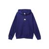 ACG Fleece-Lined Warm Pullover Hoodie Unisex Hoodie Royal-Blue DH3088-455