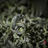 Зеленый чай Maojian 2024 Mingqian First Picking Tea Luzhou Fragrance Canized