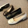 Fashion Temperament Single Shoes Women's Spring and Autumn New Square Head Light Mouth Thick Heel Versatile Shoes Low Heel Small Leather Shoes