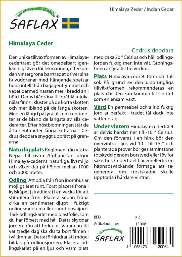 SAFLAX Кедр индийский - 35 семян - Cedrus deodara