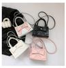 Trendy Women's Mini Handbag 2024 Spring New Shoulder Bag Street Style Casual Crossbody Bag