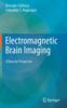 Книга Electromagnetic Brain Imaging : A Bayesian Perspective
