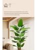 Большое искусственное дерево Райская птица - Напольное декоративное растение для гостиной, роскошное, зеленое