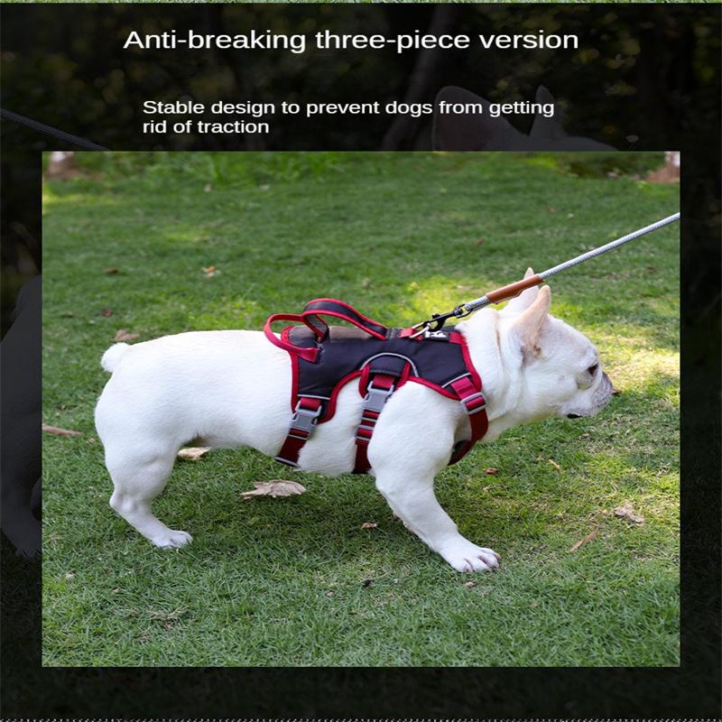 Поводок для собак Маленькие и средние собаки Нагрудный ремень для домашних животных Светоотражающая защита Амортизирующий поводок для собак на груди Поводок для домашних животных