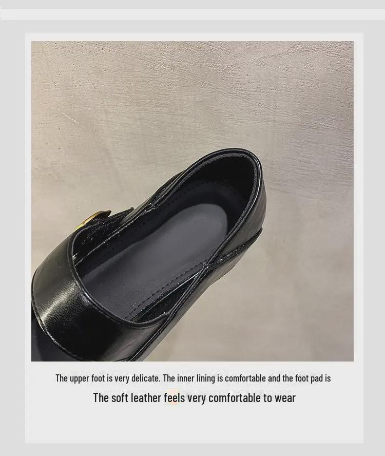 Женские туфли Mary Jane из кожи на толстом каблуке с острым носком, осень 2024 г. - средний каблук, британский повседневный стиль