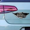 British Shorthair Cat 3D Break the Wall Car Sticker, Waterproof Vinyl Material Accessories, Interesting Creativity For Cars, Trucks, Motorcycles