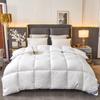 Zhenbu Thickened Goose Down Winter Duvet