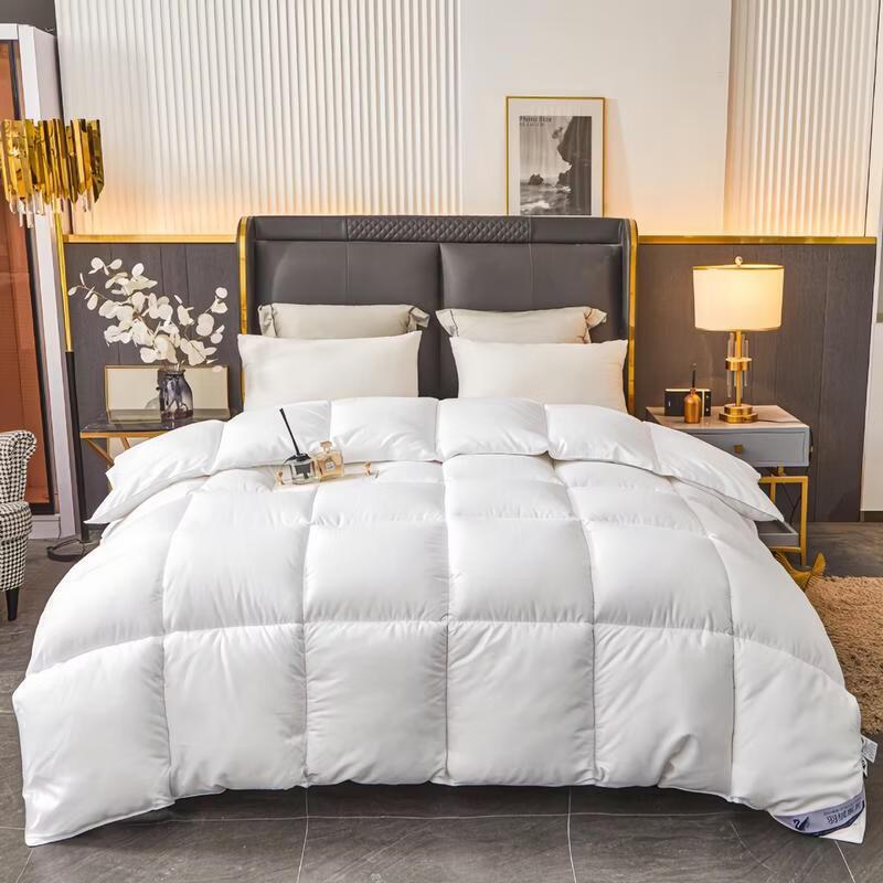 Zhenbu Thickened Goose Down Winter Duvet