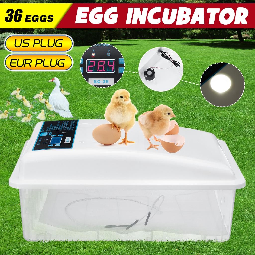 PP 36 Eggs Automatic Digital Turning Incubators Chicken Chick Farm Hatcher Temperature Control for Chicken Eggs Incubator New 39*24*17cm