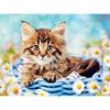 Cat DIY 5D Diamond Painting Rhinestone Animal Diamond Embroidery Cross Stitch Mosaic Full Round Drill Home Decor Art Gift