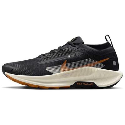 Кроссовки мужские Pegasus Trail 5 GORE-TEX Black Monarch Off-Noir Pale-Ivory FQ0908-007