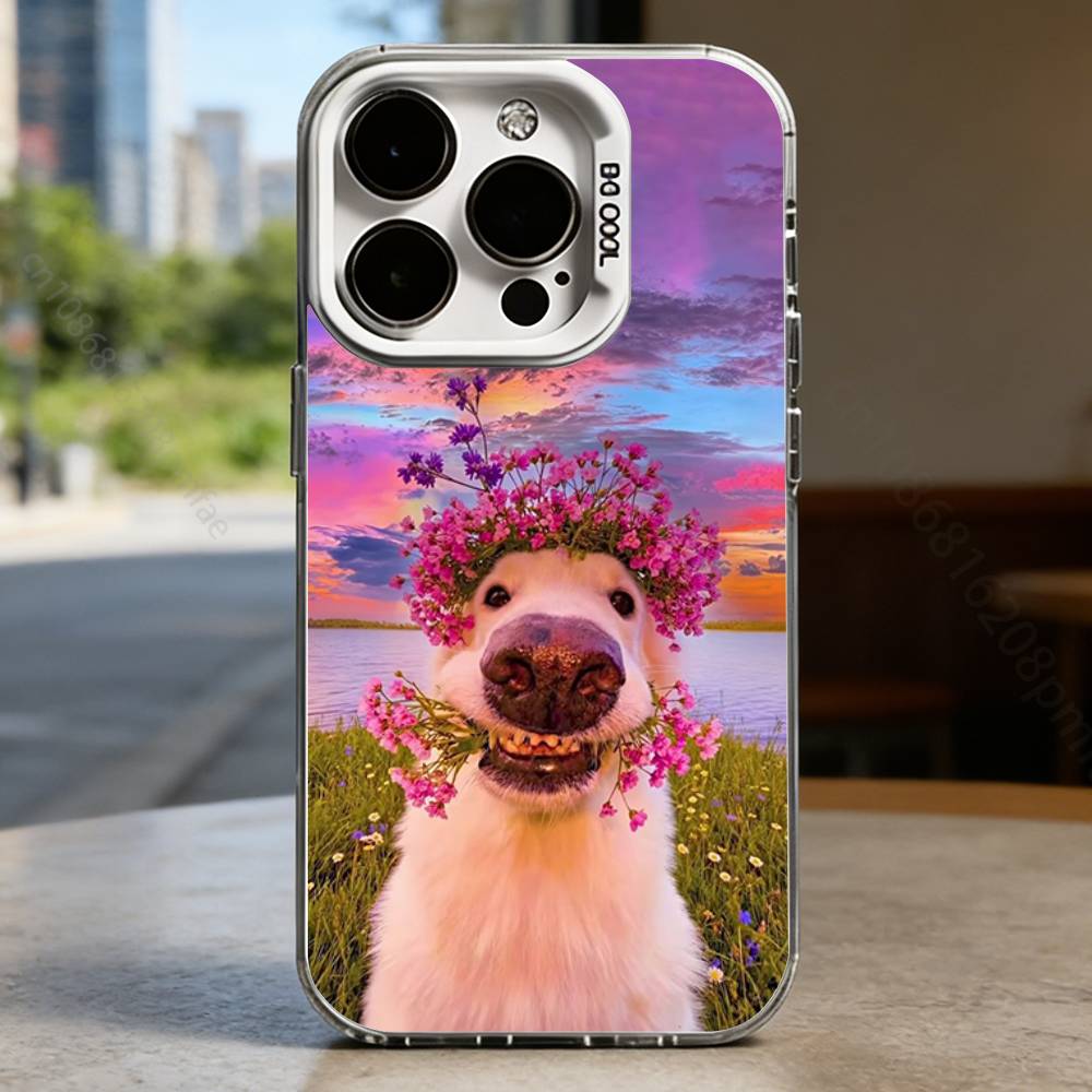 Cute bay Animal Dog Pig White Shockproof Phone Case For iPhone 16,15,14,13,12,11,Pro,XS,Max,Plus,Mini,SE