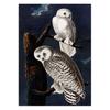 Vintage Bird Canvas Print Audubon Bird Posters Pink Flamingo Snowy Owl Pelican Blue Heron White Egret Canvas Painting Wall Art