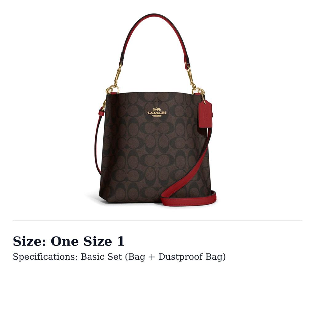 COACH Mollie Artificial Leather Bucket Bag Handbag Small Women's Brown CA582-IMRVQ
