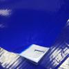 Rodelie Cleanroom Sticky Dust Removal Mat