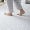 Thicken Plush Carpet Living Room Shaggy Warm Velvet Rug For Bedroom Solid Floor Mat Non-slip Washable