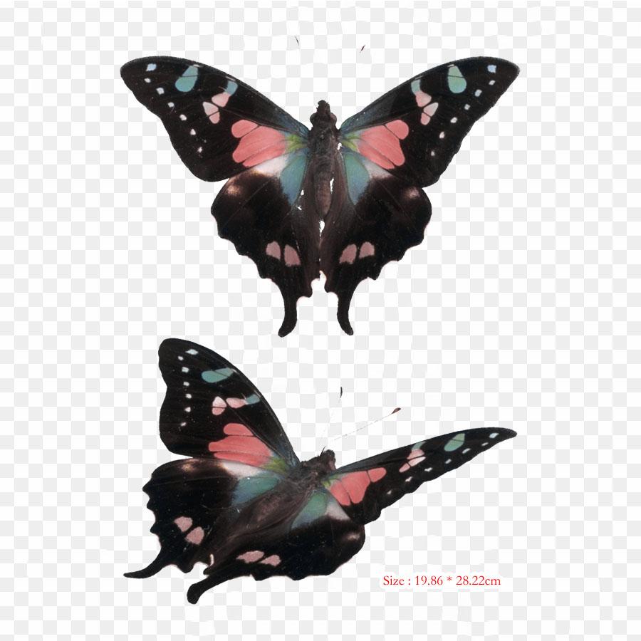 Everton Everton F C Activio International Ab Iron On Heat Transfer Printing Vinyl Patches Sticker for Clothes DIY Appliques Washable Patches