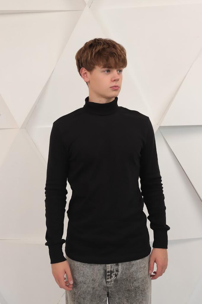 Пуловер (Мужской) Любой сезон 8043-015 HC