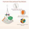 Colorful Pet Bird Toys Plastic Parrot Hanging Toys Puzzle Toy Bird Gnawing Toy  Cage Accessory