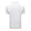 2024 Summer Men's Color-Blocked Polo Shirt - European & American Style Short-Sleeved Lapel T-Shirt