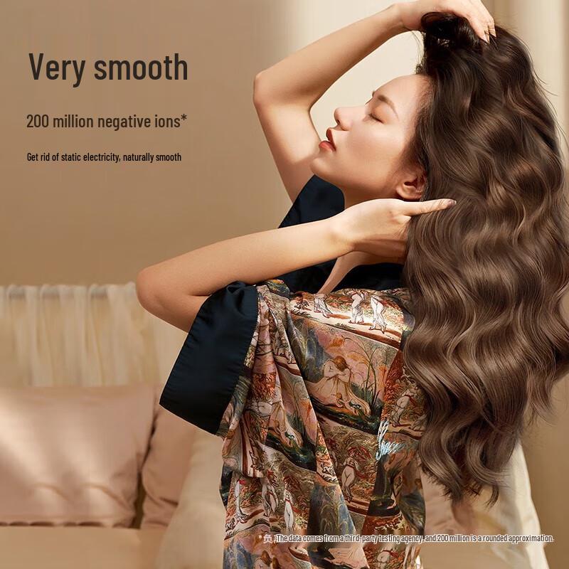Laifen LF03 High-Speed Ionic Hair Dryer CN plug (adapter included)