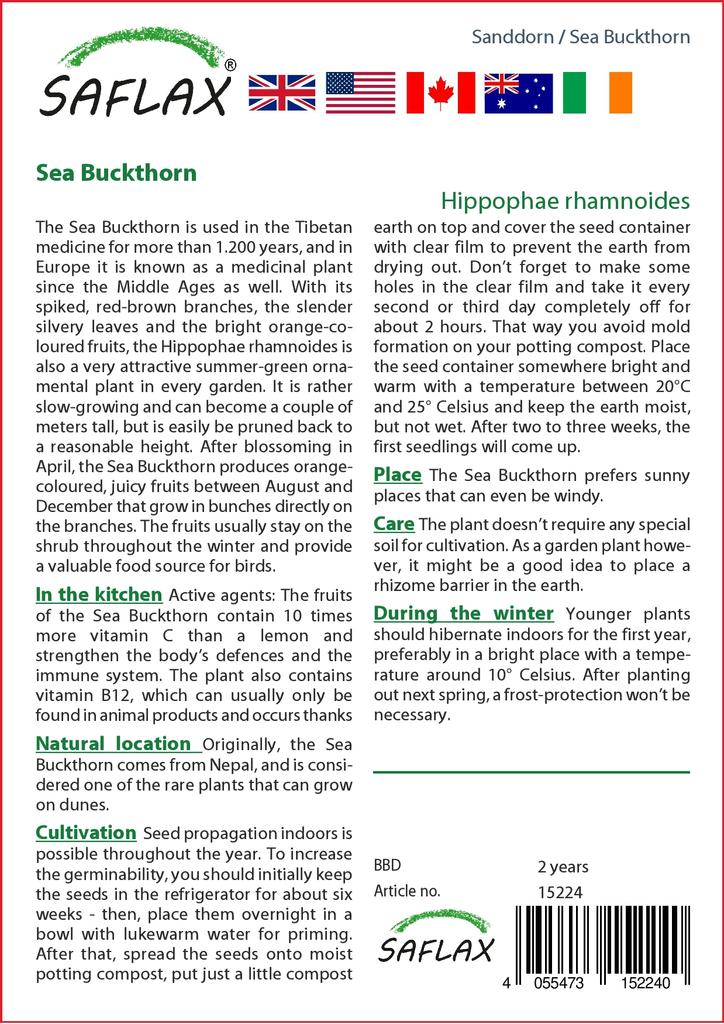 SAFLAX Garden in the Bag - Облепиха - 40 семян - С субстратом в подходящем пакете - Hippophae rhamnoides