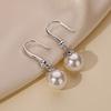 Personalized Pattern Pearl Zircon Earrings Women's Ear Hooks Light Luxury Niche Earrings Earrings Jewelry