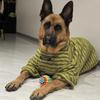 Winter Warm Dog Sweater Thickened Dog Two-Leg Tops Comfortable Fit Dog Jumper  Medium Large Dogs