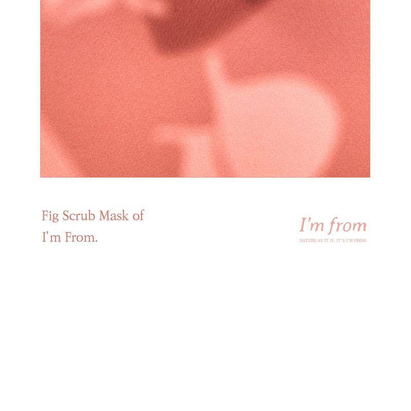 I'm from - Fig Scrub Mask Mini