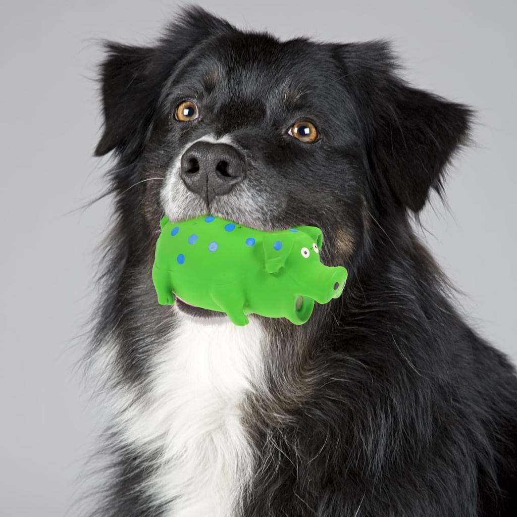 Balacoo Пищащая свинья Игрушки для собак: Латексная хрюкающая свинья, звуковая игрушка, игрушка для игры, сжимаемая, интерактивная, молярная, для жевания, щенок, жевательные игрушки для собаки, щенка, для расслабления, тренировки,