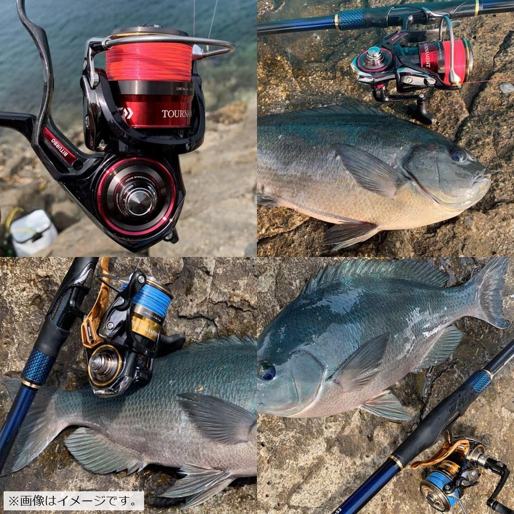 Daiwa Astron Iso MAX Gamma II Nylon SBM Blue Line, 200m, 3.25 No., (Sea Marking)