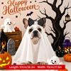 Spooky Dog Ghost Cape Breathable Pet Cosplay Clothes Pet Transformation Costume  Photo Props