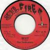 7-дюймовая пластинка DEDICATORS Почему НИКТО Soul Fire Recor 2016 Франция Регги Ска Даб Б/У