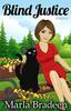 Книга Blind Justice