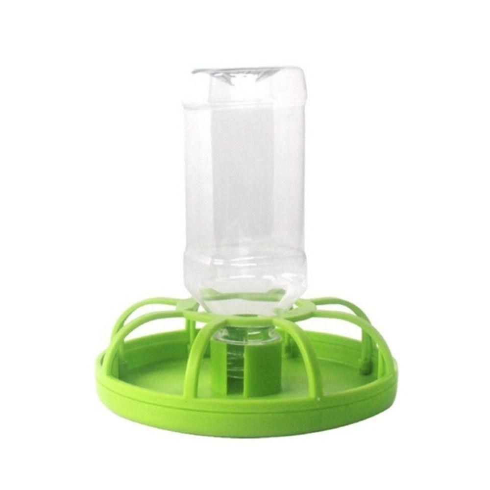 Accessories Turtle Food Container Lizard Food Bowel Reptile Feeder Tortoises Water Dispenser