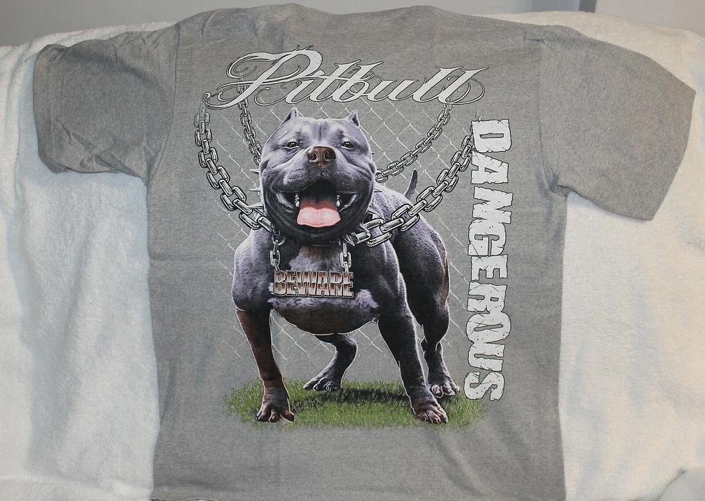PITBULL TERRIER BEWARE DANGEROUS CHAIN FENCE T-shirt GRAY