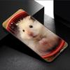Милый чехол для телефона с изображением хомяка для Samsung Galaxy A01 A03 Core A04 E A02 A05 A10 A20 A21 A30 A50 S A6 A8 Plus A7, черный чехол