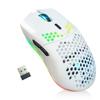 Souris Sans Fil - XZXWZX - Modèle Xzxwzx - 2,4 GHz - Coque En Nid D'abeille - RGB