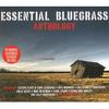 CD VARIOUS - Essential Bluegrass Anthology (2CD) NOT2CD260 Not Now Music 2008 Europe Folk Used