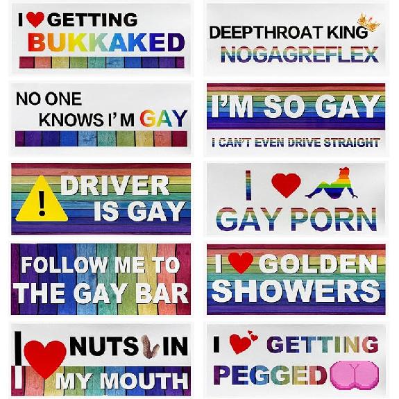 10 PCS Car Funny LGBT Stickers, Waterproof Prank Rainbow Bumper Stickers With Humor Text, Universal Colorful Gay Pride Decals For Vehicle Luggage