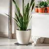 Flower Pot Plant Holder Prevent Rot and Damage Patio Deck Plant Stands Plant Level Pot Elevator Plant Pot Saucer Pot Tray