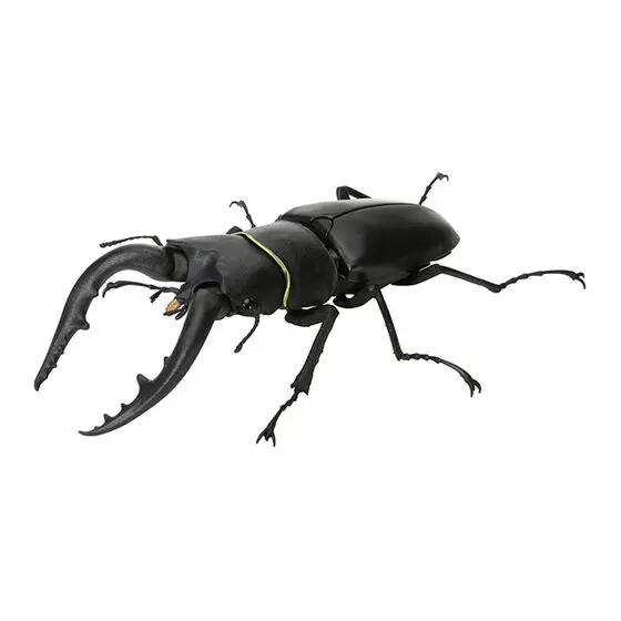 Genuine Gacha Scale Model Biological Cognitive Model Antler Beetle Simulated Moving Insect Action Figure Toys
