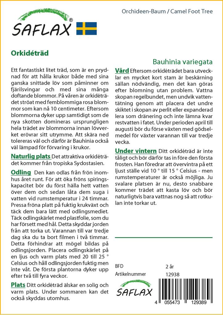 SAFLAX Дерево верблюжьей лапки - 8 семян - Bauhinia variegata