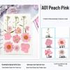 Maifeng Pressed Flower Art Pack: Dried Flower Material and Real Plant Specimens.