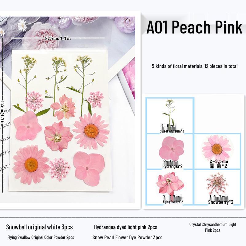 Maifeng Pressed Flower Art Pack: Dried Flower Material and Real Plant Specimens.