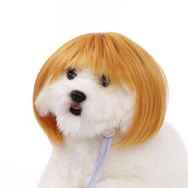 Кошка Собака Домашние животные Парики Головной убор Забавный костюм Щенок Трансвестит Косплей Одевание Милые питомцы Набор для волос Забавный реквизит Головные уборы Аксессуары